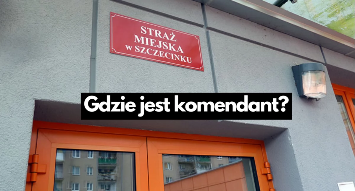 Praca, Szukają nowego komendanta Straży Miejskiej zgłosić - zdjęcie, fotografia