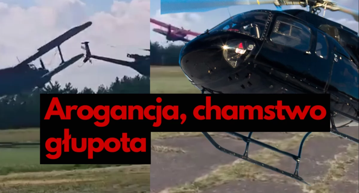 zdjęcie: x.com, tiktok / flying_horse / stock