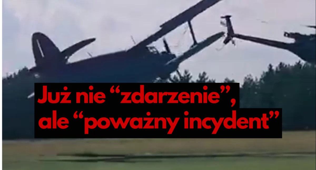 zdjęcie: TikTok/tabakierka_horses