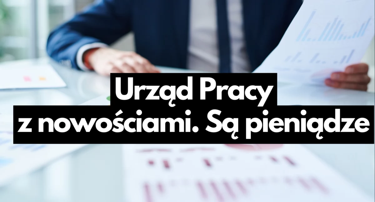 Praca, Wiele propozycji bezrobotnych - zdjęcie, fotografia