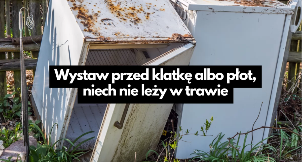 Aktualności, Graty Kolejna bezpłatna zbiórka odpadów - zdjęcie, fotografia