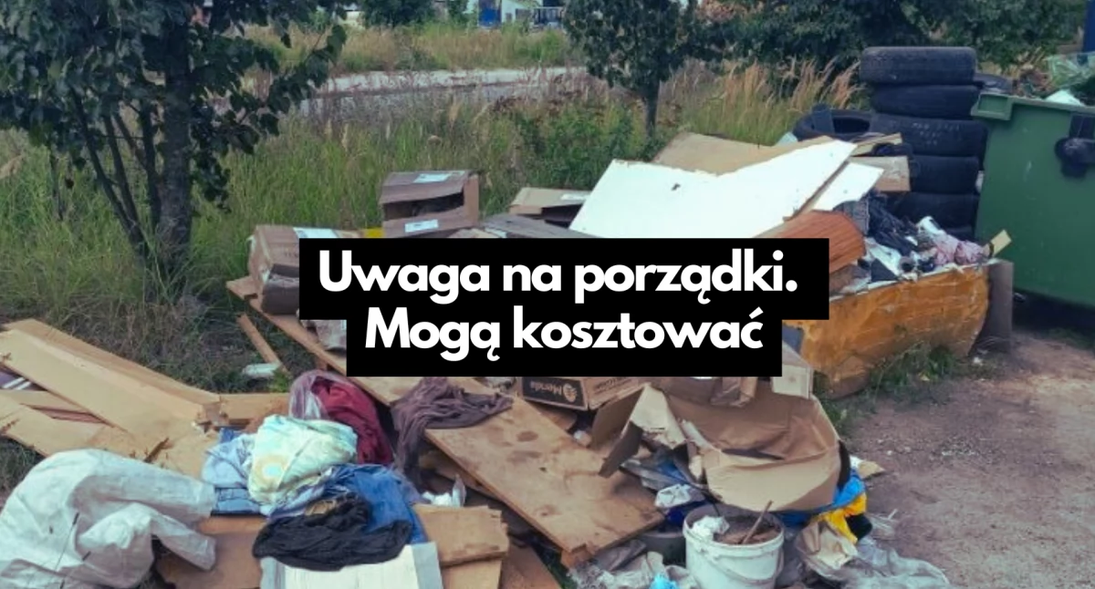 Straż Miejska, Sprzątanie garażu nagrodzone mandatem - zdjęcie, fotografia