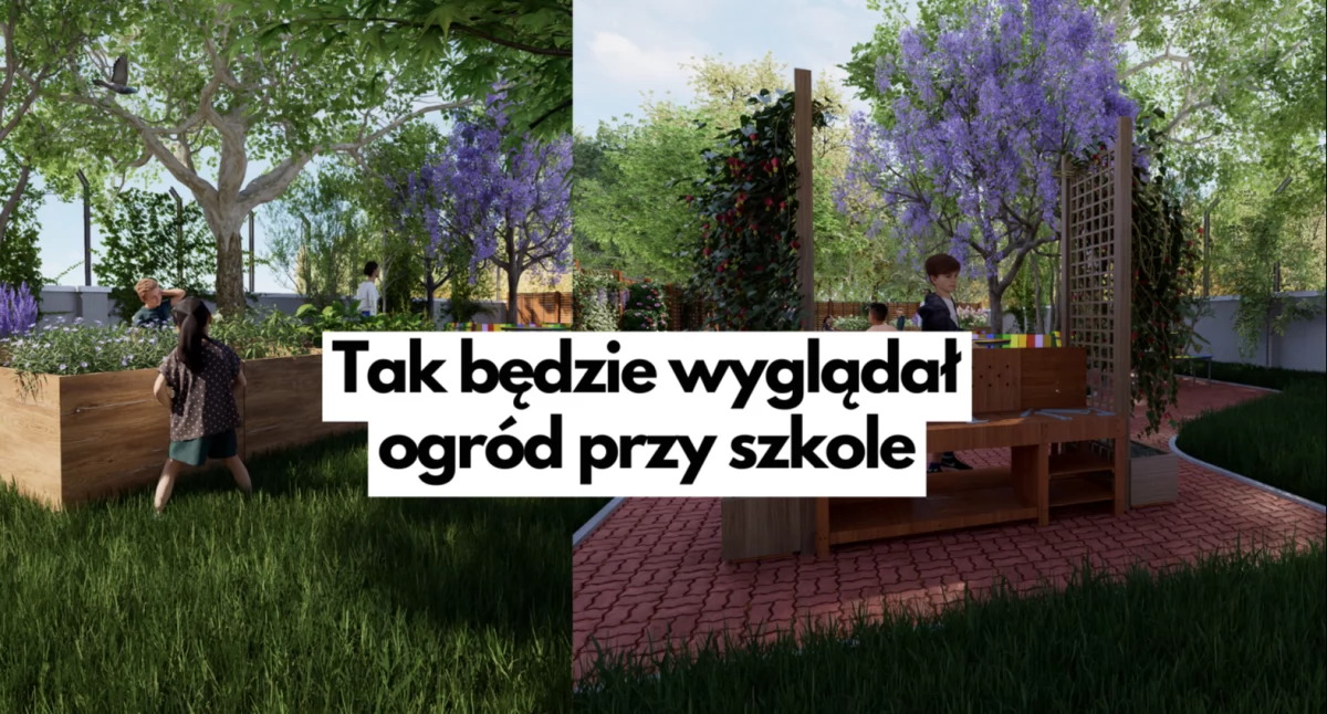 Nauka, Całkiem zaczarowany ekologiczny ogród szkolny - zdjęcie, fotografia