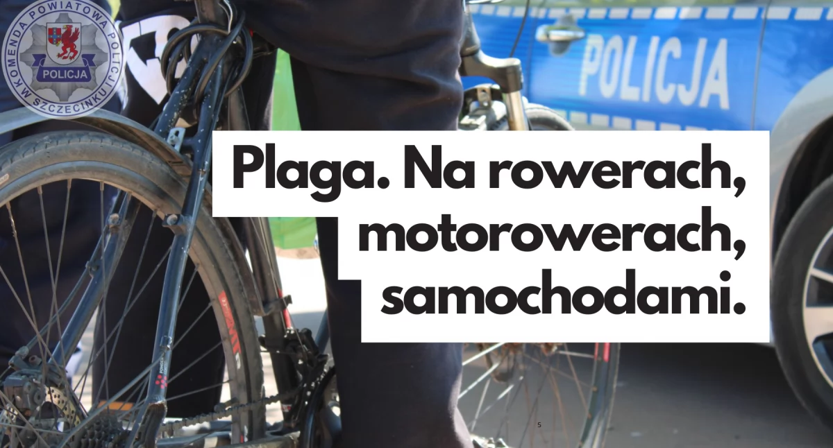 Policja, wspaniali kierowcy Wypici narkotykach - zdjęcie, fotografia