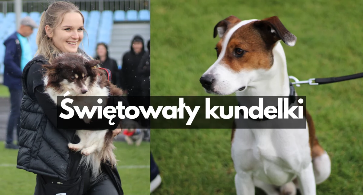 Zdjęcie: P. Witczuk