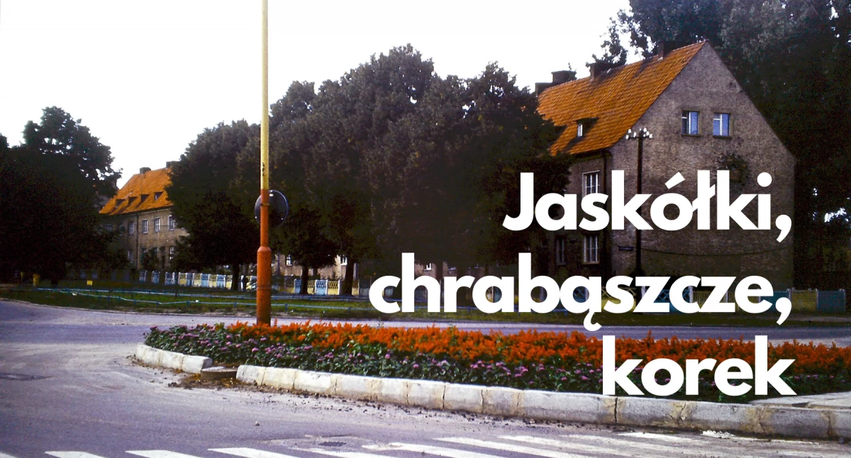 zdjęcie: Skrzyżowanie ul. Świerczewskiego ze Słowiańską w Szczecinku, 1976