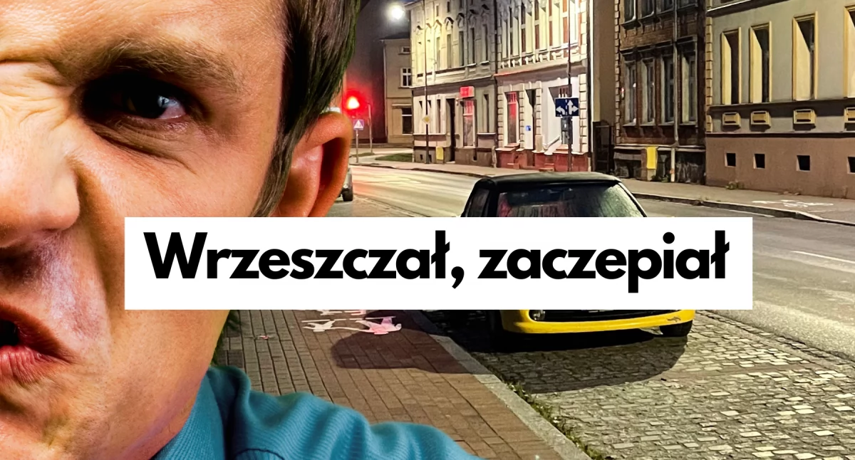 Straż Miejska, Krzyczał zaczepiał „zachowywał nietypowo” - zdjęcie, fotografia