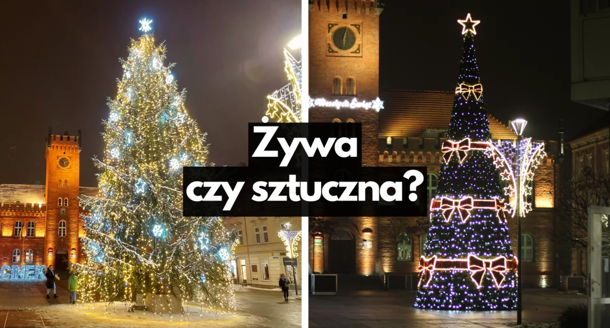 Zdjęcie: P. Witczuk