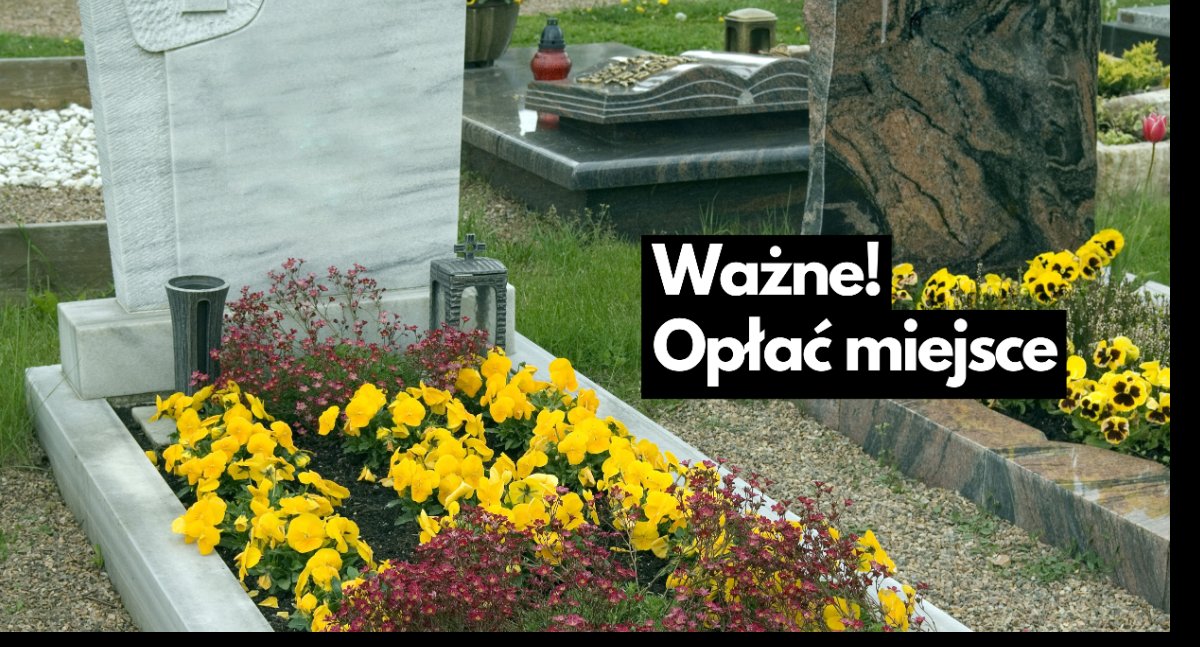 Aktualności, przypomina opłatach miejsce pochówku - zdjęcie, fotografia