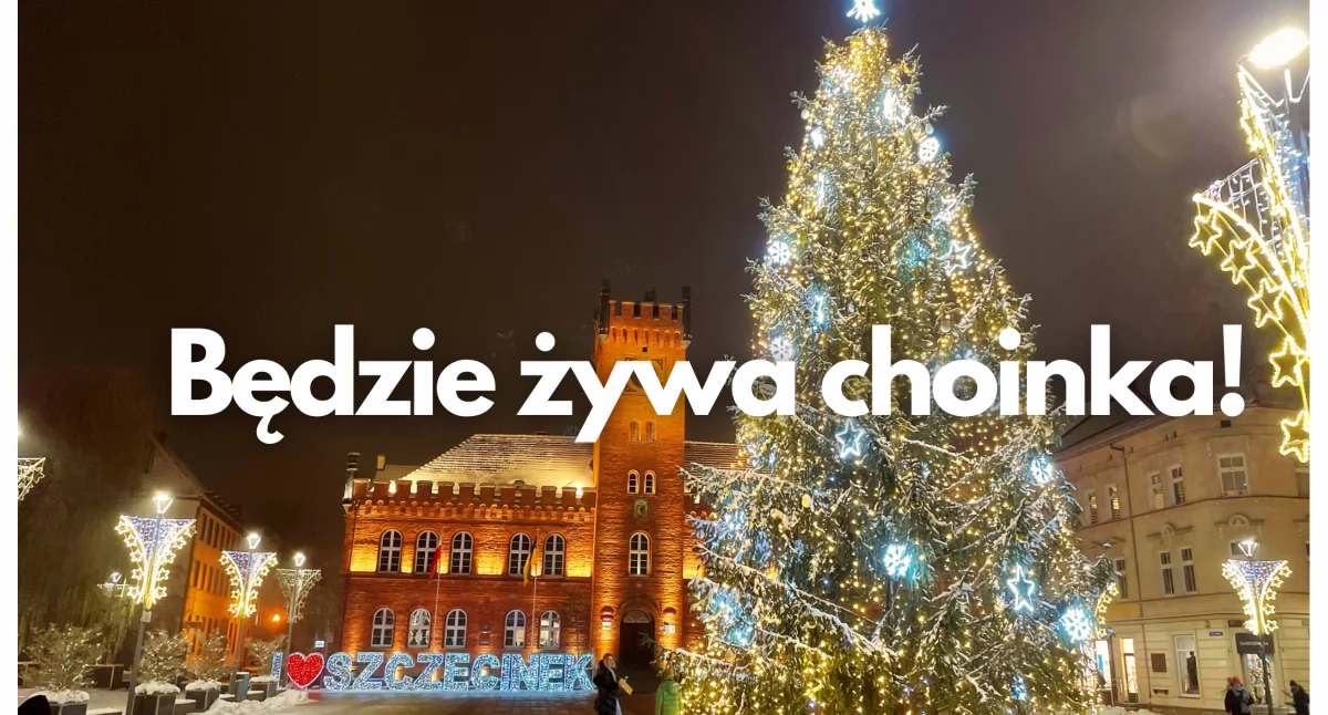 Zdjęcie: P. Witczuk