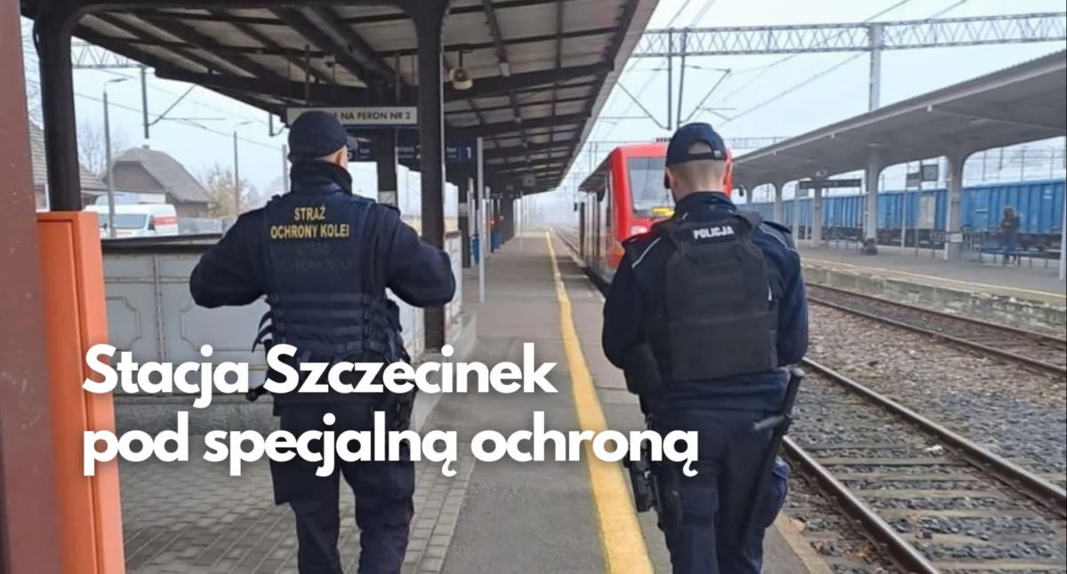 Policja, Dworzec specjalną kontrolą policja łączą siły - zdjęcie, fotografia