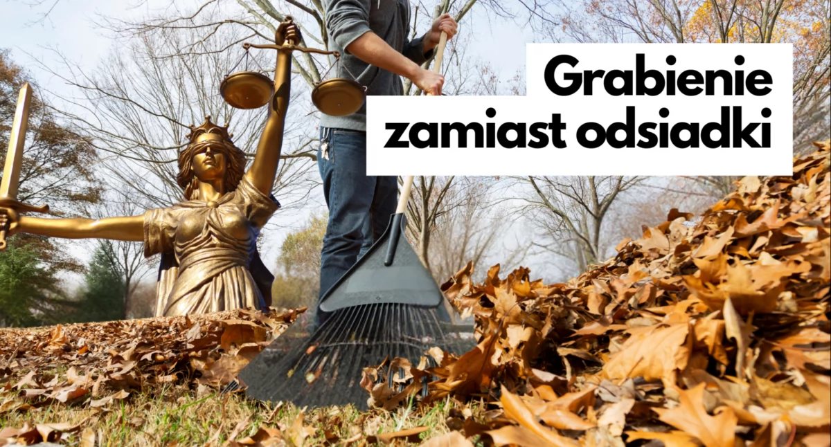 Praca, Praca zamiast więzienia Setki osób - zdjęcie, fotografia
