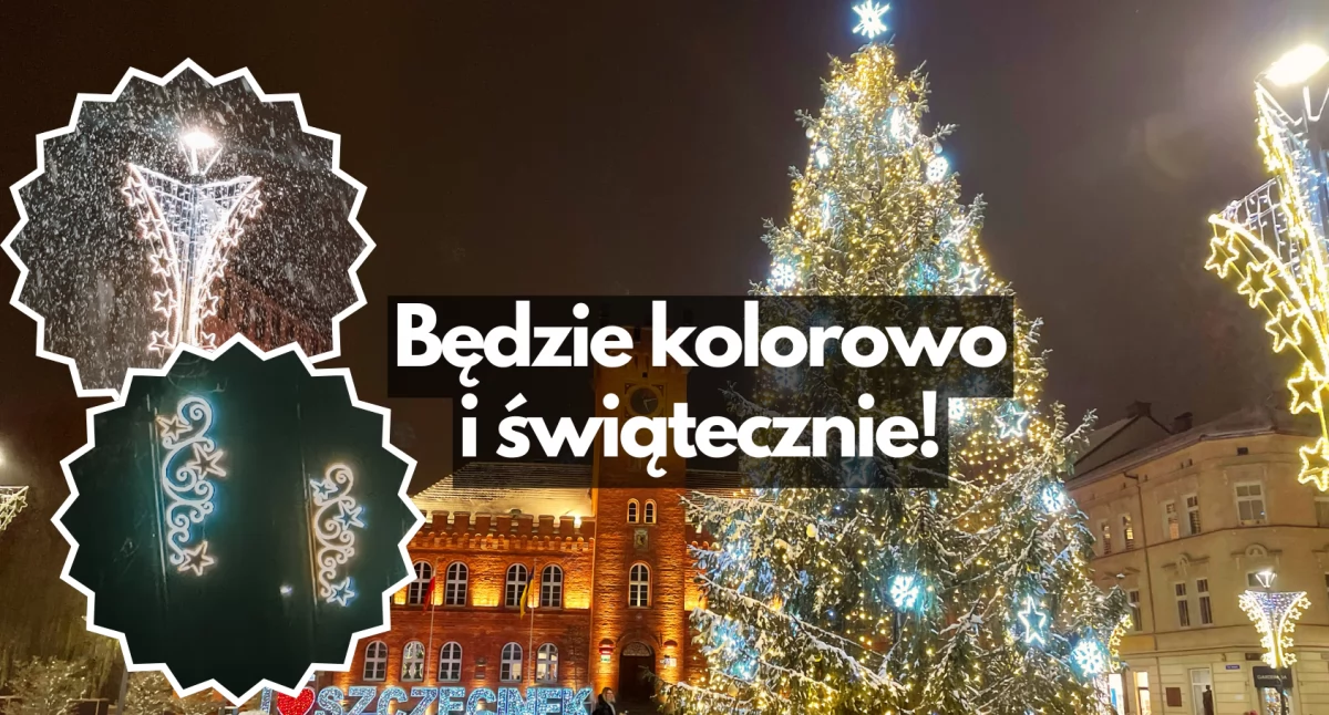 Zdjęcie: P. Witczuk