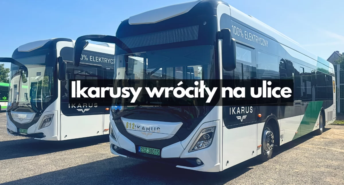 Zdjęcie: P. Witczuk