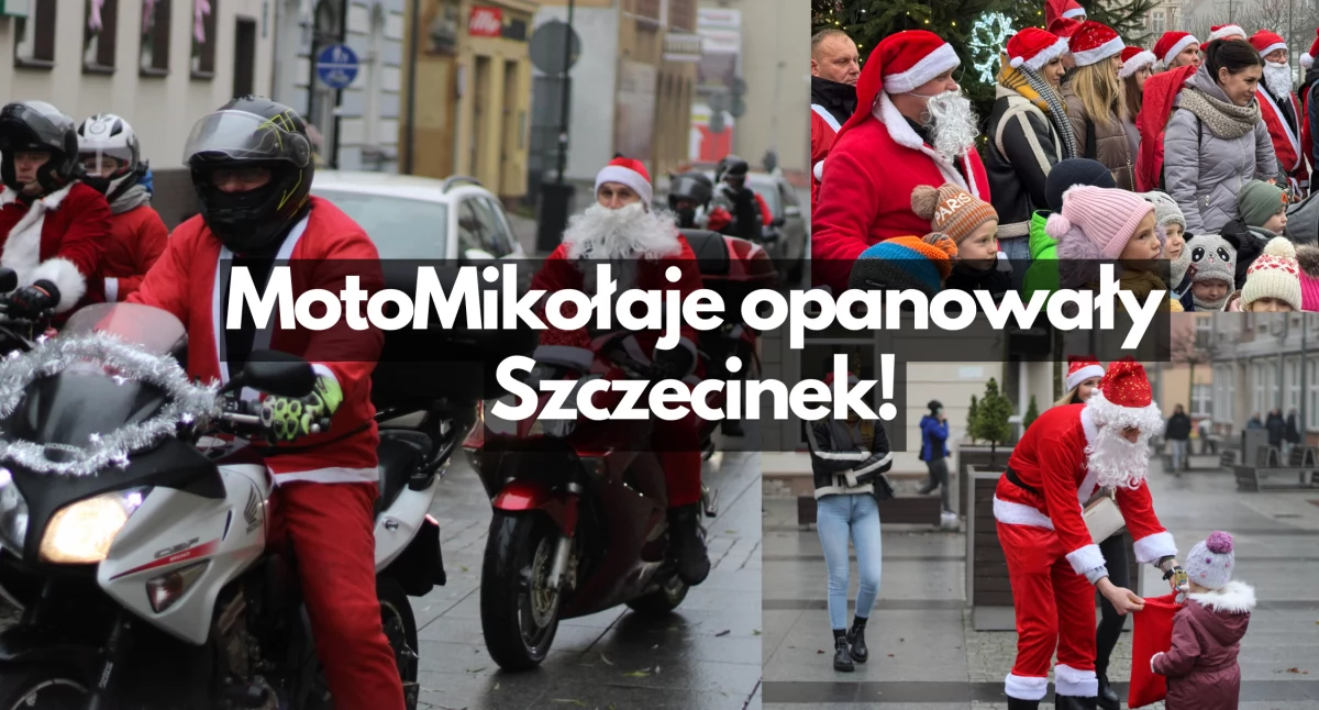 Zdjęcie: P. Witczuk