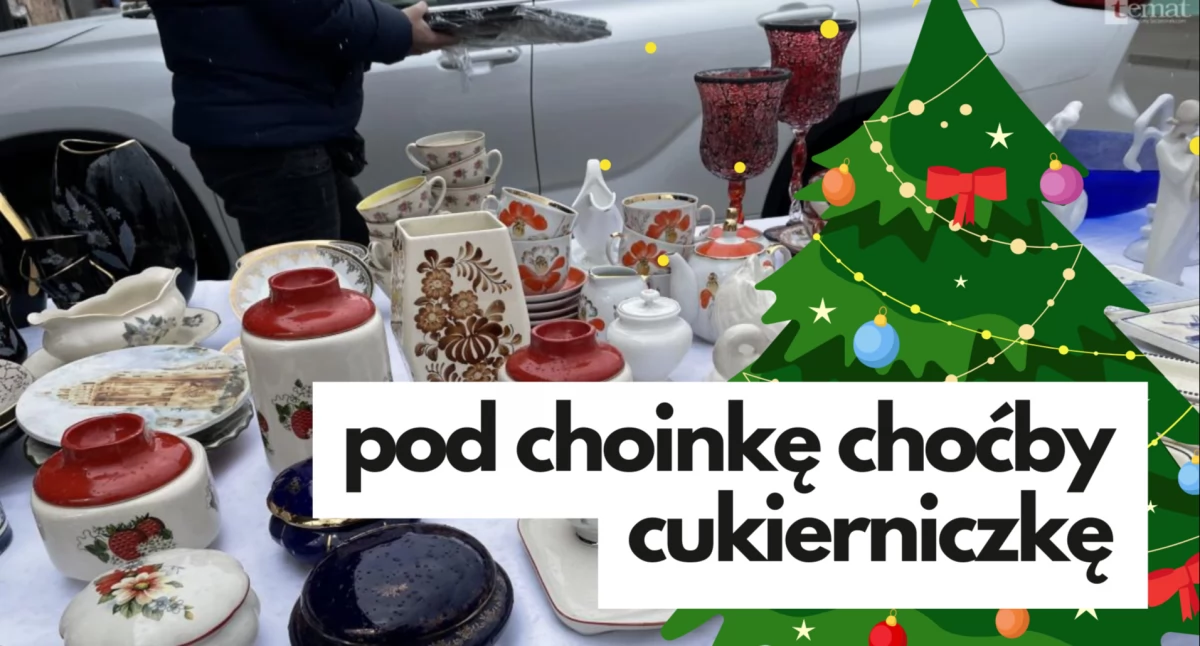 Aktualności, miejsce choinką okazje czekają Pchli - zdjęcie, fotografia