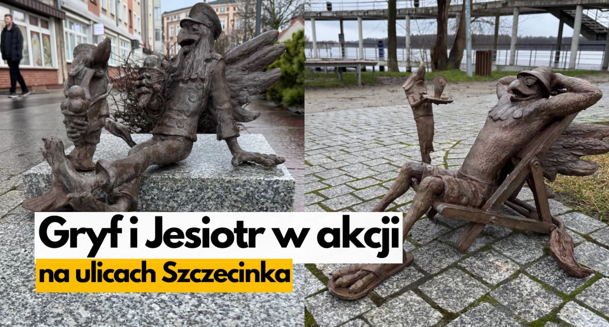 Zdjęcie: P. Witczuk