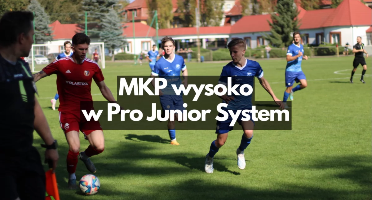 Zdjęcie: P. Witczuk