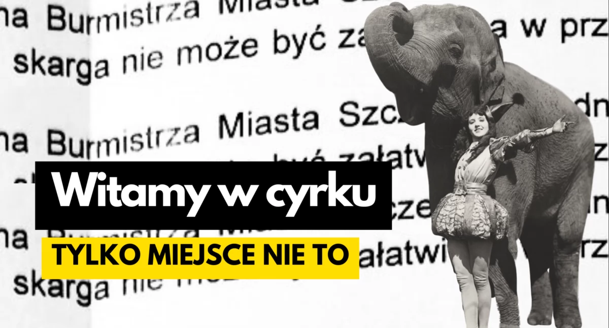 polityka, Skarga zamieniona farsę Dokumentów decyzji wstydu - zdjęcie, fotografia