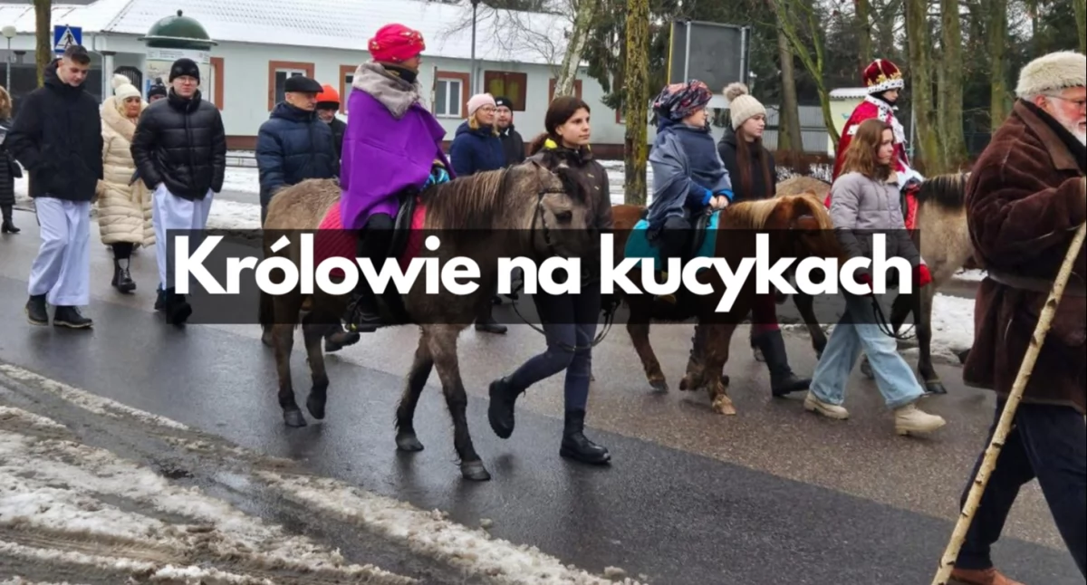 Zdjęcie: Gryf TV
