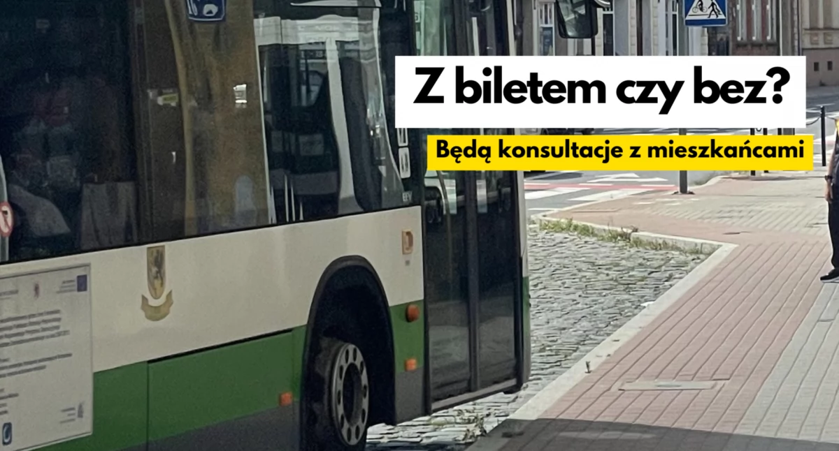 polityka, biletach autobusach raczej zdecydują mieszkańcy - zdjęcie, fotografia