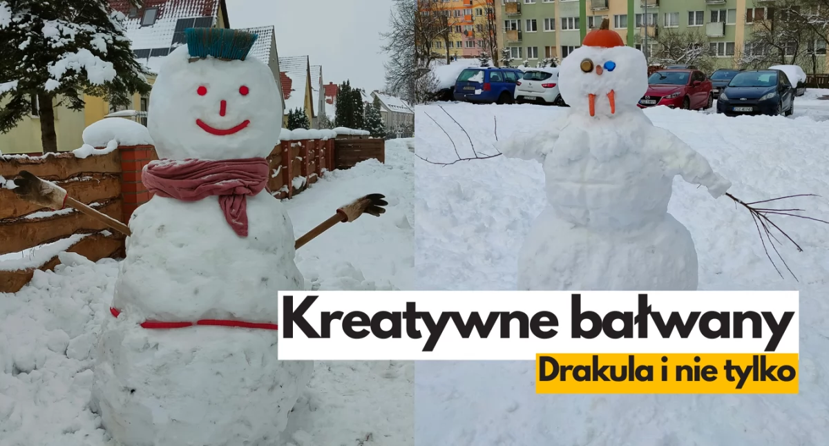 Zdjęcie: Czytelniczka