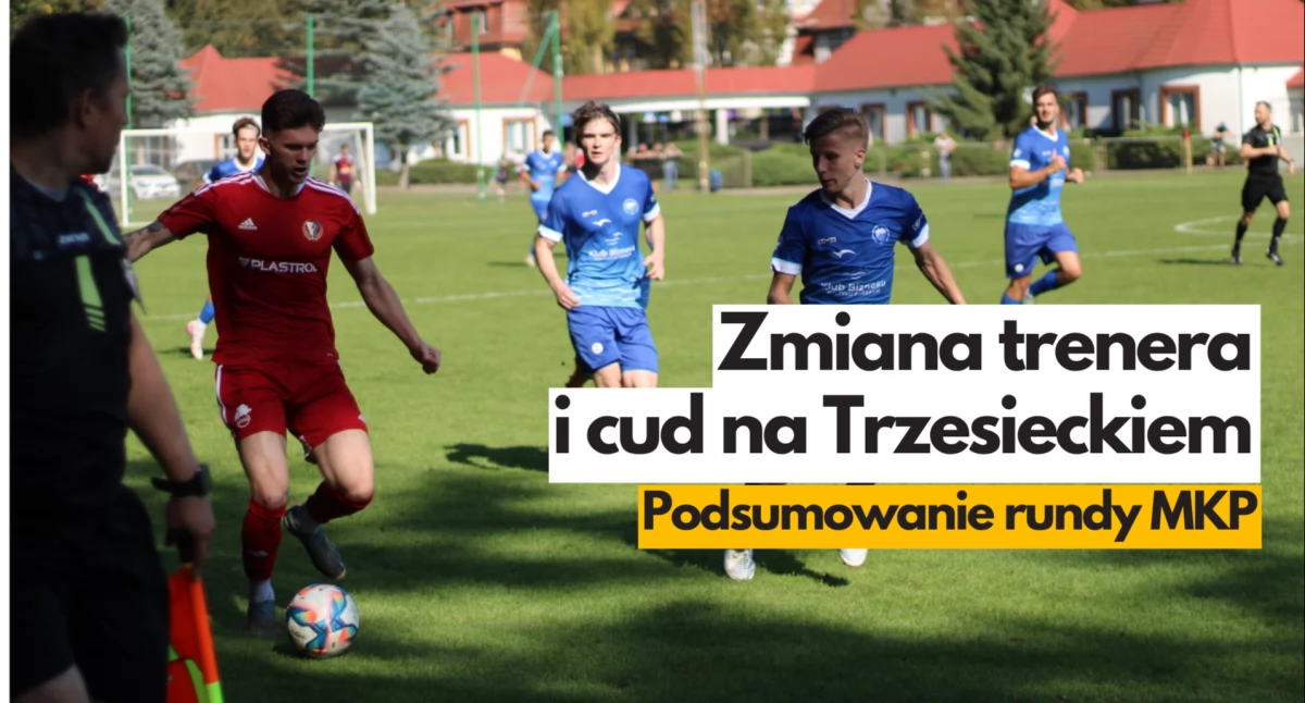 Zdjęcie: P. Witczuk