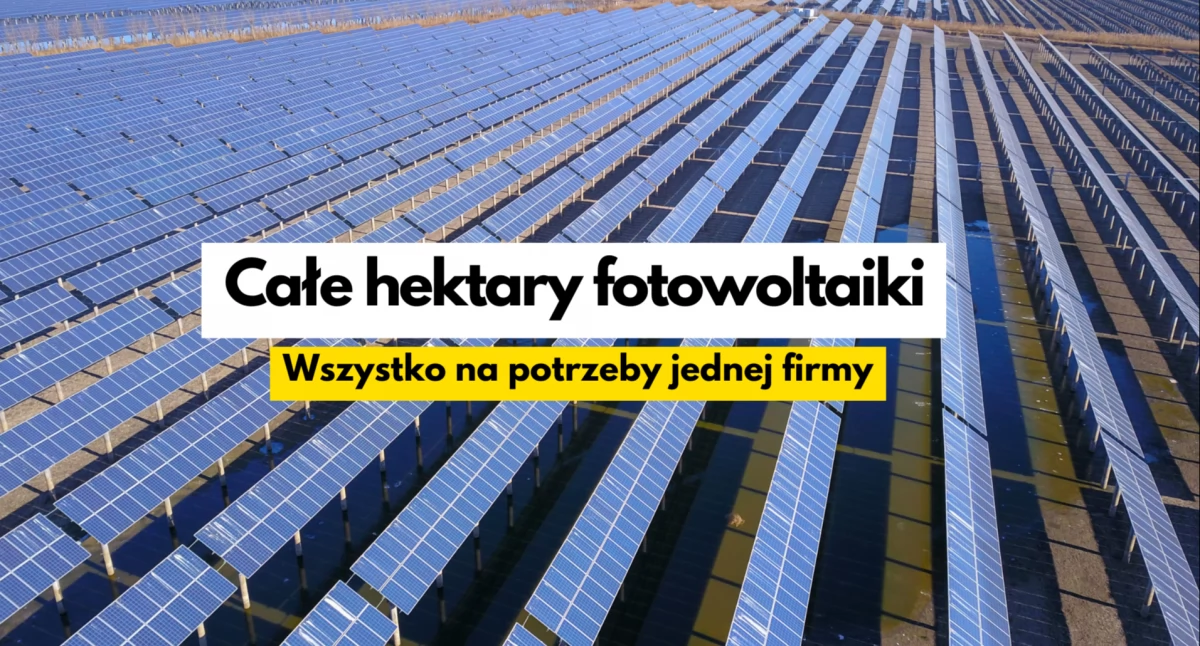 Inwestycje i remonty, Wielka farma fotowoltaiczna wielki Kronospanu - zdjęcie, fotografia