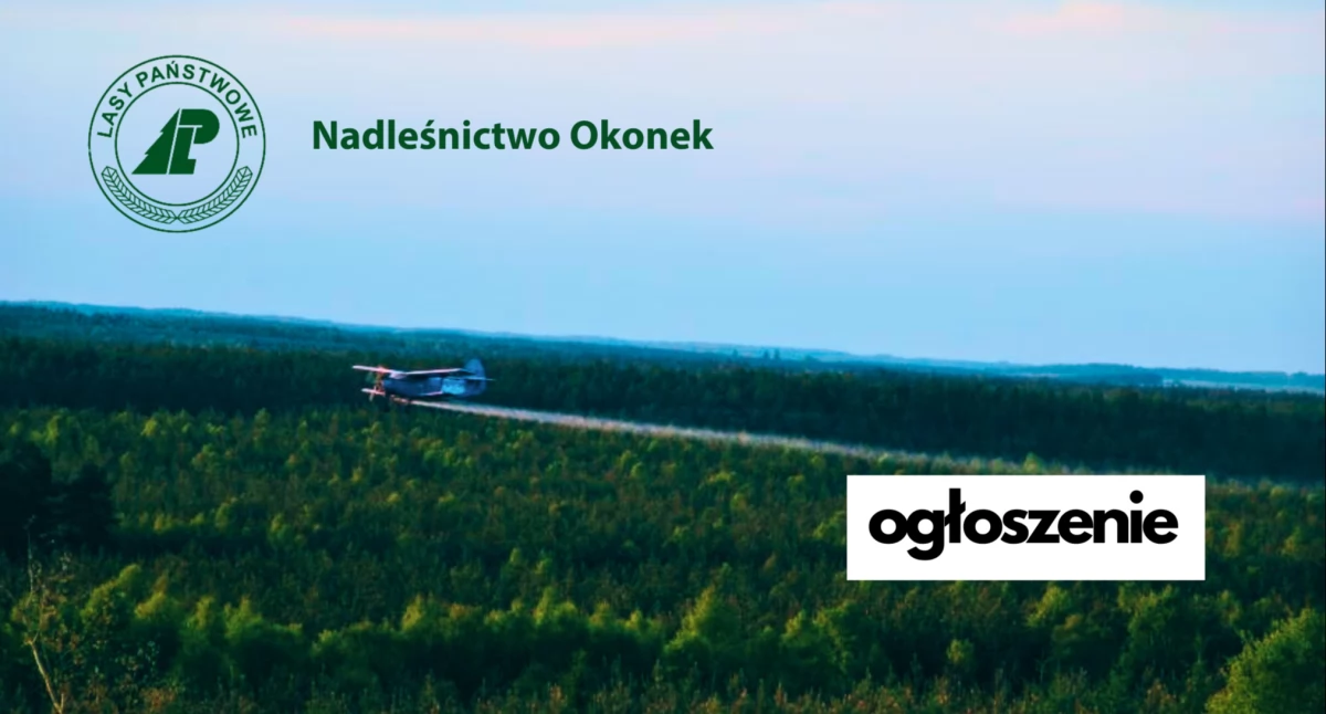 Ogłoszenia urzędowe, Nadleśniczy Nadleśnictwa Okonek ogłasza - zdjęcie, fotografia
