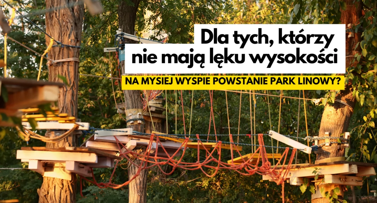 Inwestycje i remonty, głową drzewach Mysiej Wyspie będzie linowy - zdjęcie, fotografia