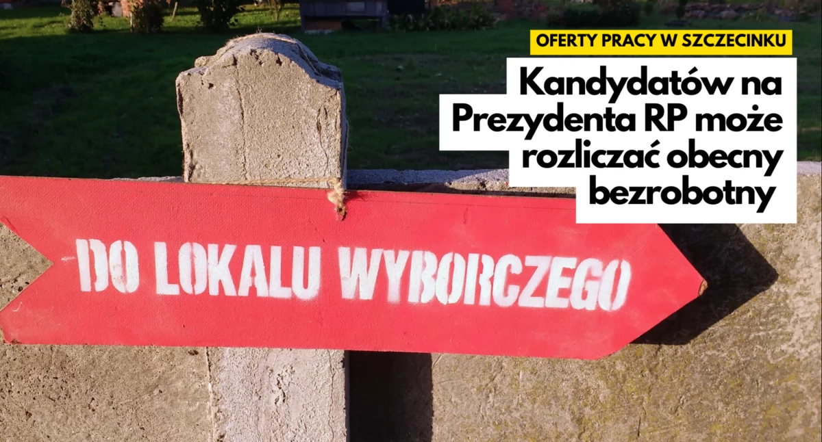 Praca, Bezrobotny może zostać urzędnikiem wyborczym - zdjęcie, fotografia