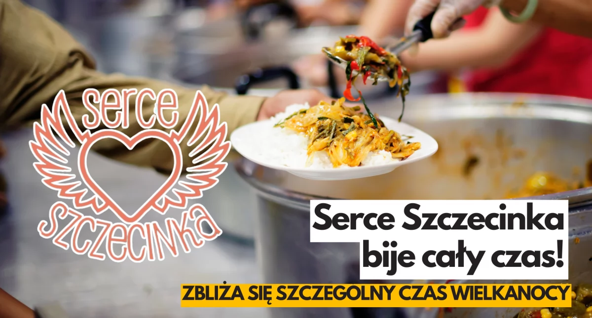 Zdjęcie: