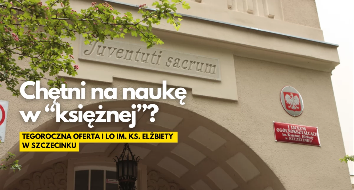 Nauka, Sześć profili ambitnych Oferta Szczecinku - zdjęcie, fotografia