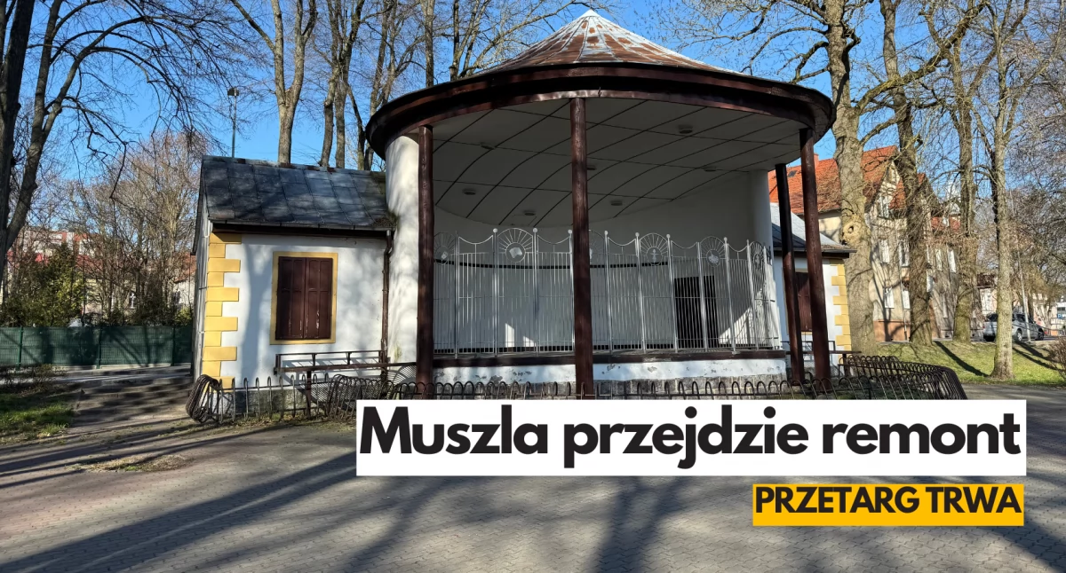 Zdjęcie: P. Witczuk