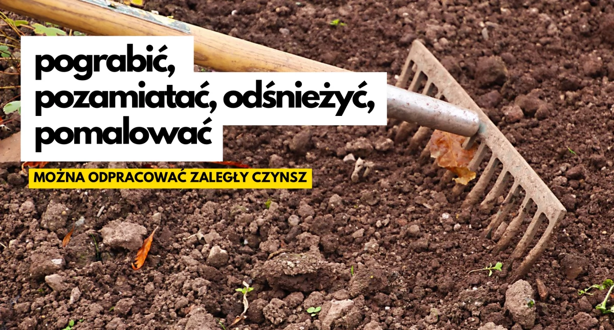 Aktualności, Szczecinku można spłacić długi Zamiast płacić zaległy czynsz odśnieżasz malujesz - zdjęcie, fotografia