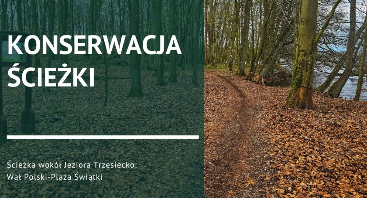 fot: Nadleśnictwo Szczecinek / FB