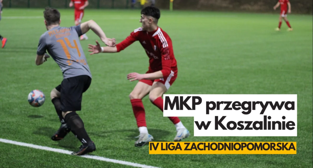 Zdjęcie: P. Witczuk