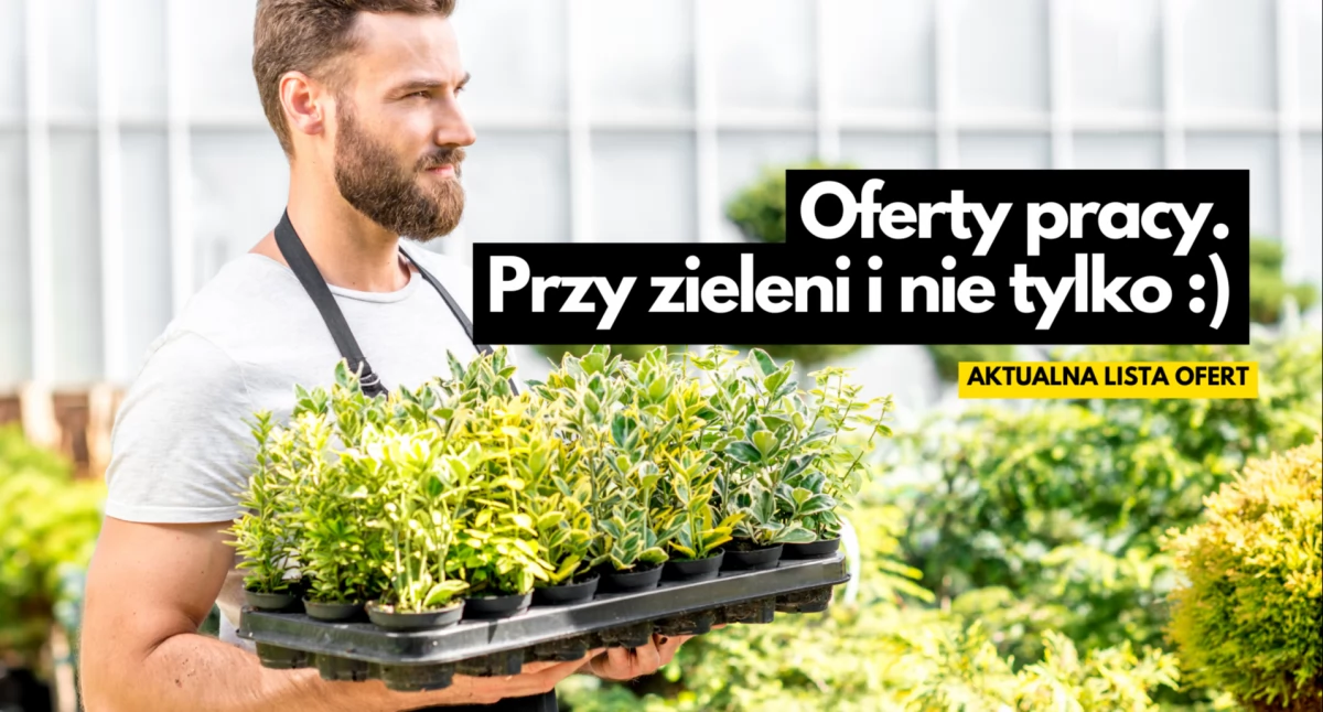 Praca, Praca Szczecinku pakowacze księgowe monterzy pracownik ogrodu - zdjęcie, fotografia