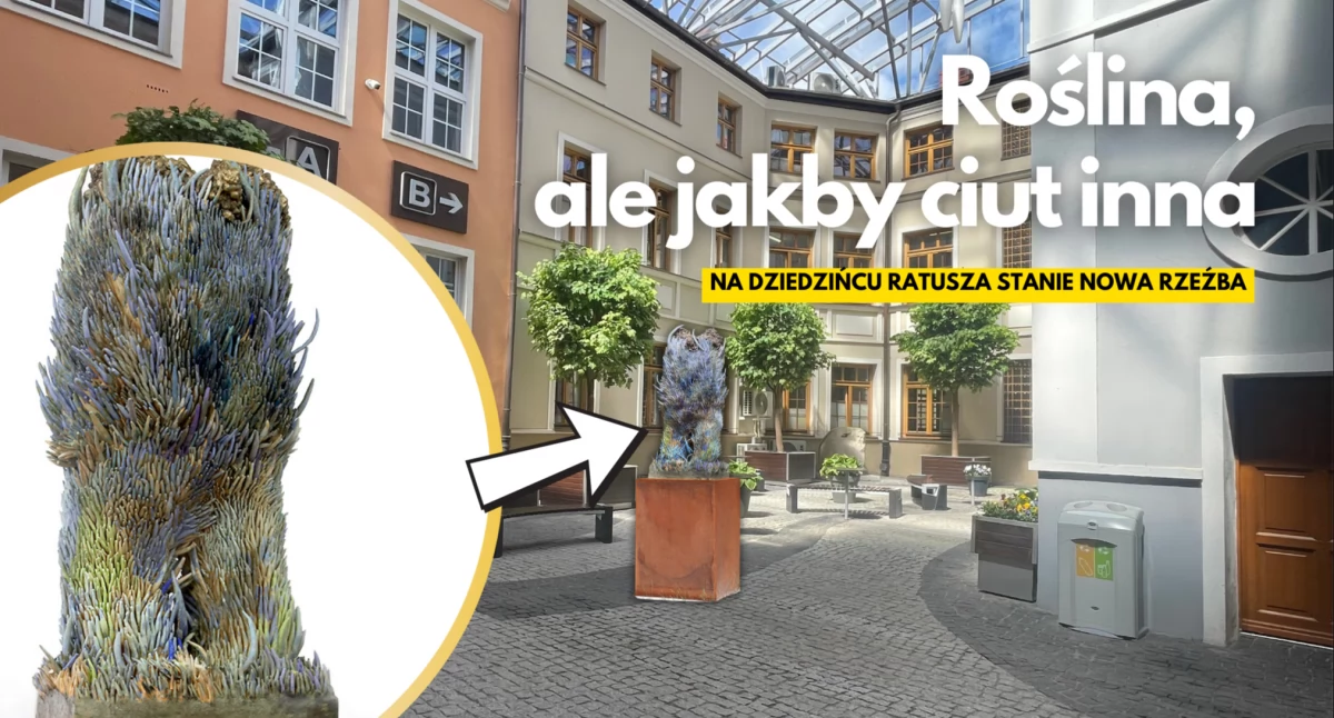 fot: Temat Szczecinecki / artnet.com / katelipecky.com