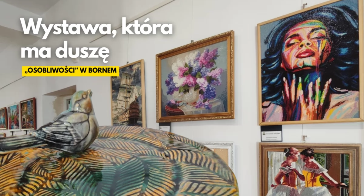 Wystawy, Sztuka serca czyli „Osobliwości” Bornego Sulinowa bibliotece  - zdjęcie, fotografia