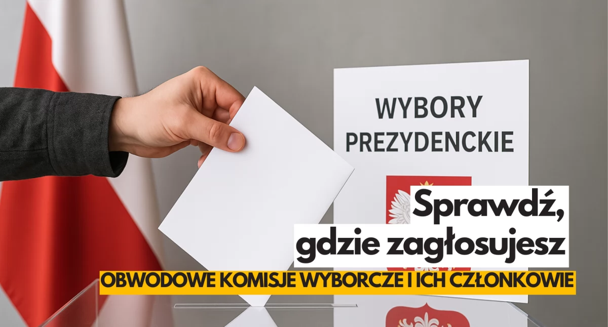 Zdjęcie: OpenAI