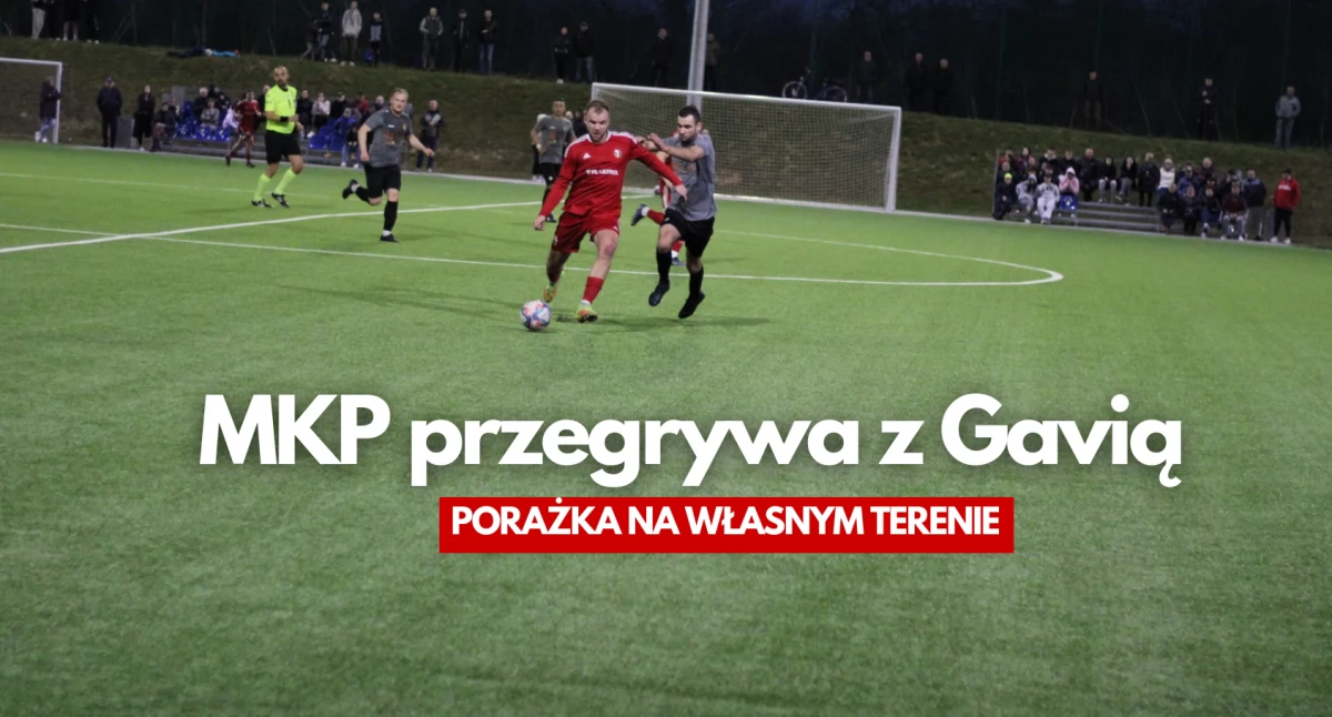 Zdjęcie: P. Witczuk