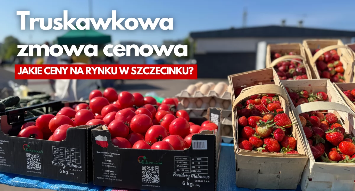 Zdjęcie: P. Witczuk