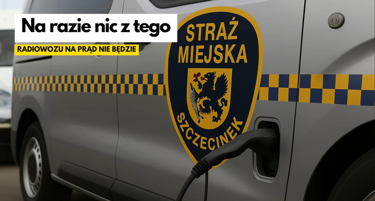 Straż Miejska, Strażnikom miejskim może łatwiej kupić diesla Elektryka dostarczyć - zdjęcie, fotografia
