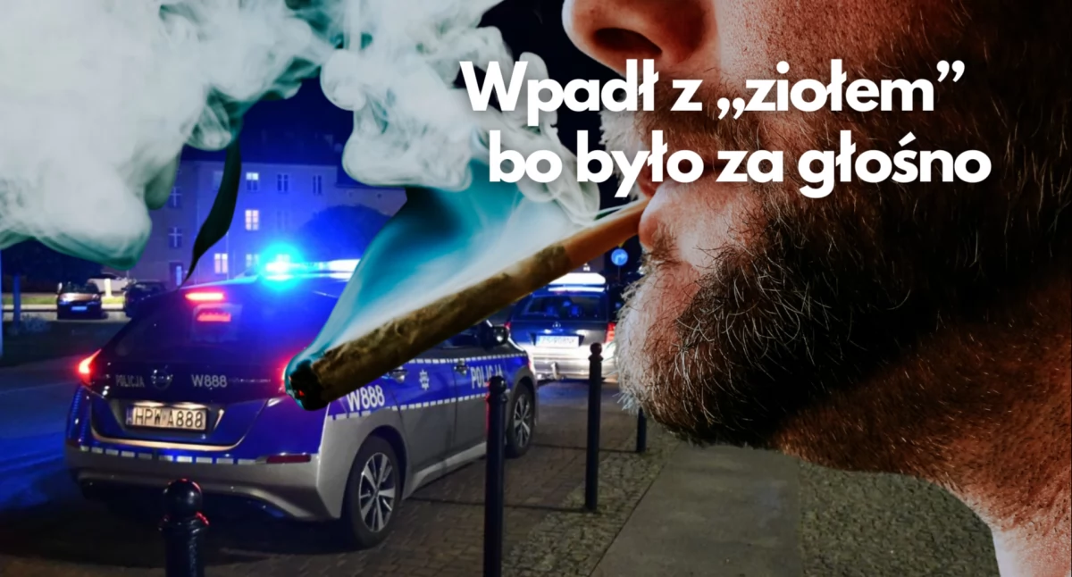Policja, Wpadł „ziołem” było głośno - zdjęcie, fotografia