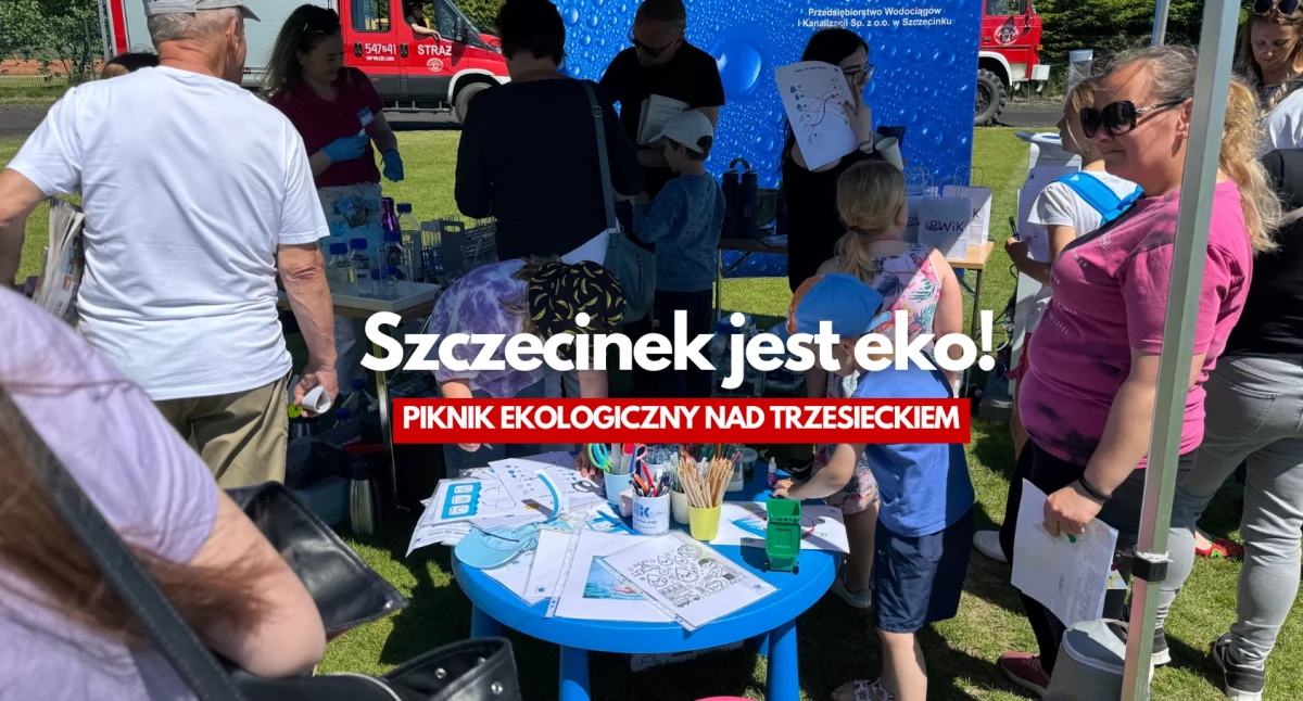 Zdjęcie: P. Witczuk