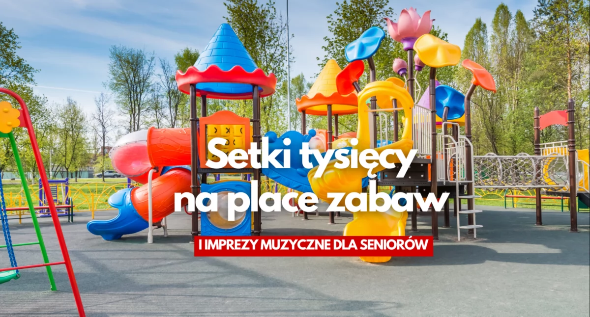 Zdjęcie: