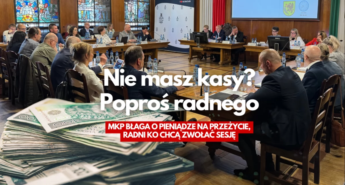 Zdjęcie: P. Witczuk