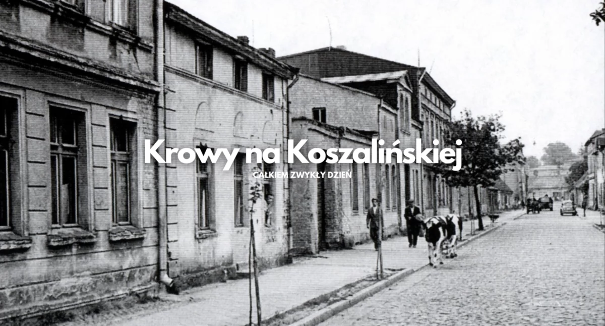Historia, Uliczny krajobraz krówką tle  - zdjęcie, fotografia