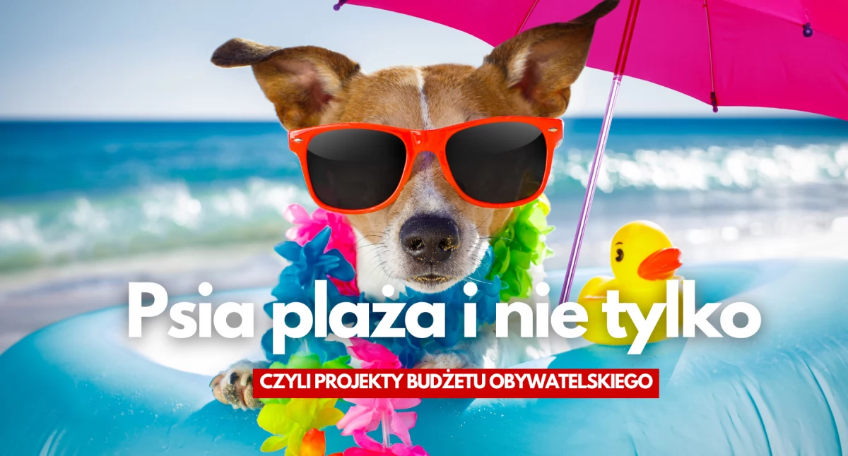 Zdjęcie: Canva